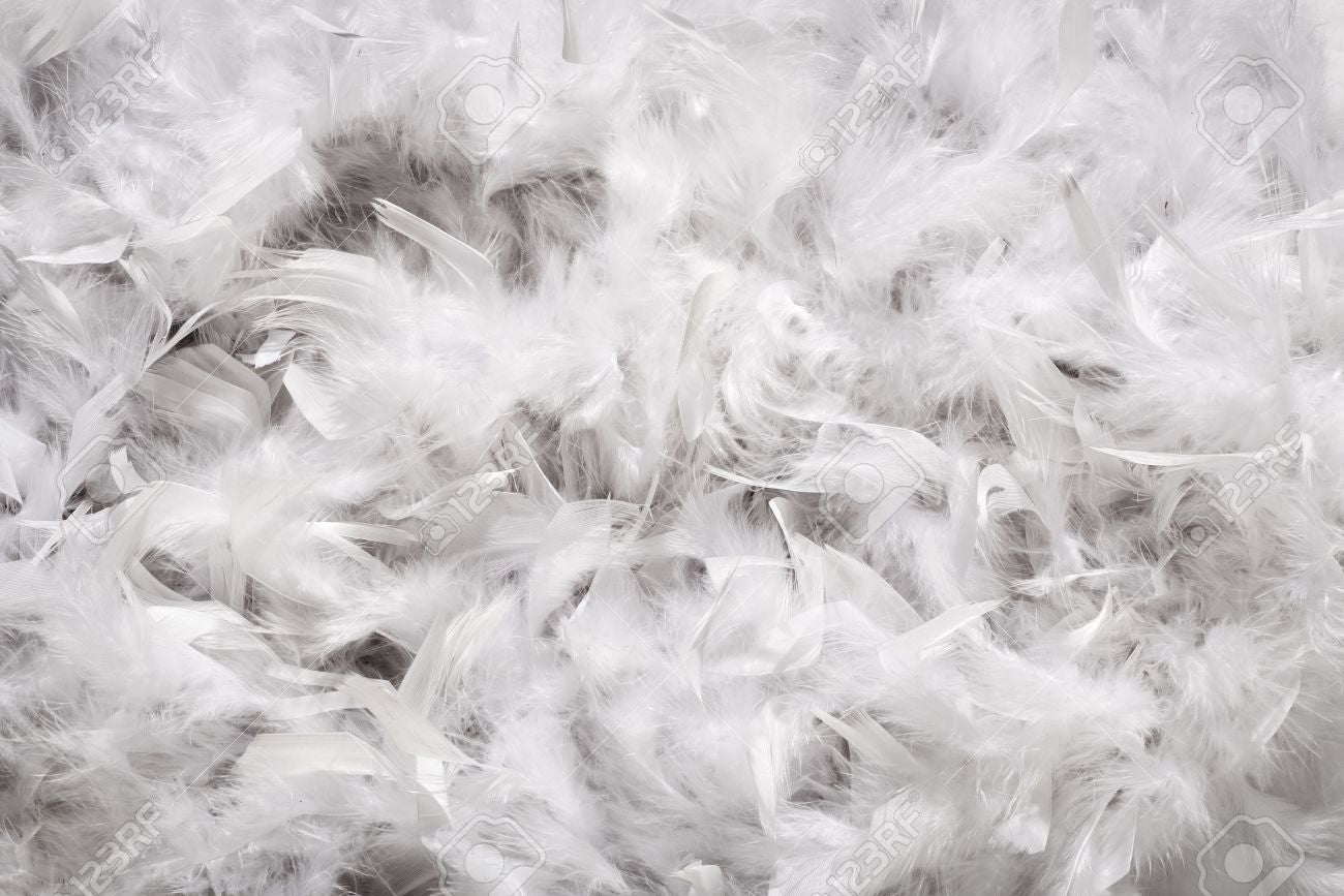 Got a feather poking out?